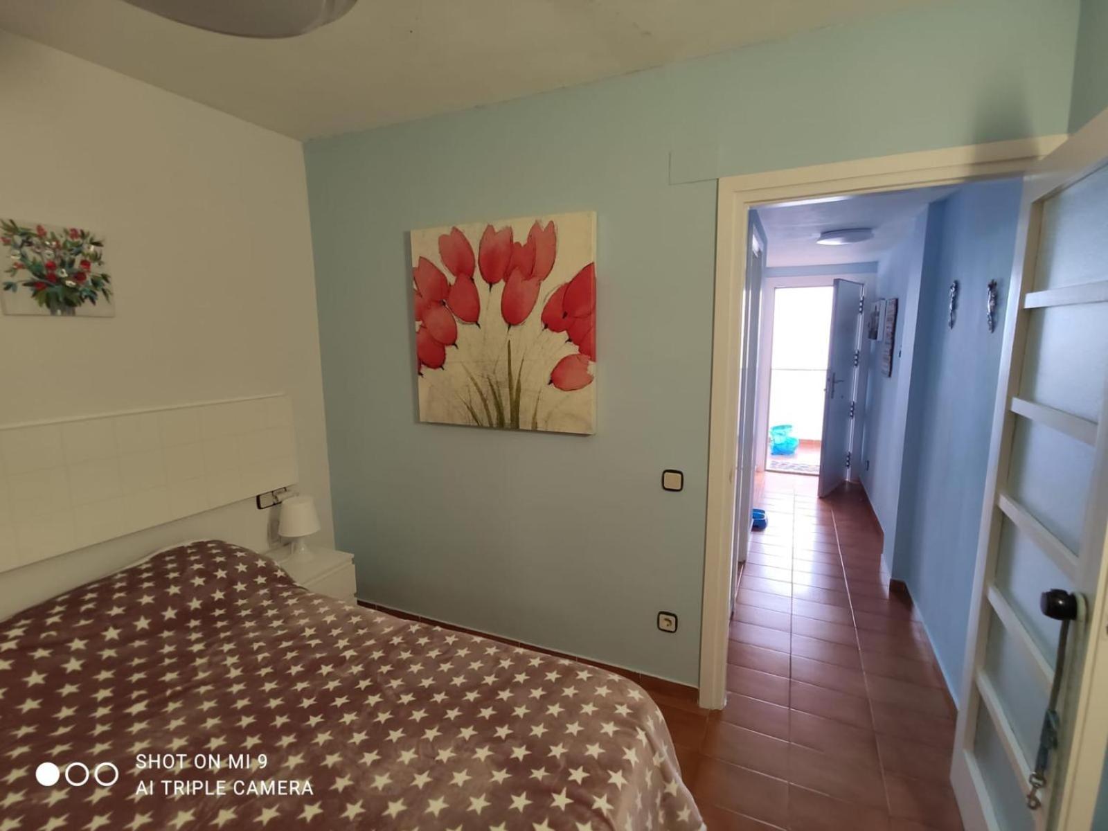Apartamento Tossa Tossa de Mar Buitenkant foto